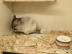 -龙猫仔乐园(惠福东路店)