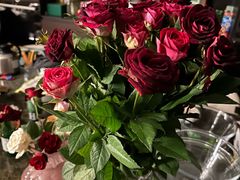 -月下料理(楷林IFC店)