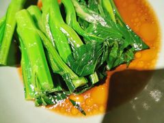 白灼菜心-港丽餐厅