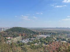 -上海佘山国家森林公园西佘山园