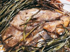 葱烤鸦片鱼头-老吉士酒家(天平路店)