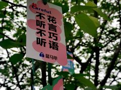 -南山植物园
