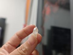 -火炉山森林公园