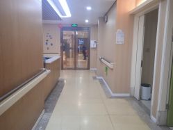 -杭州复旦儿童医院·语言发育迟缓·自闭症干预·注意力训练