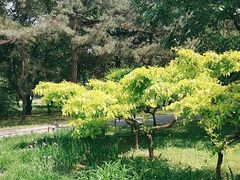 -国家植物园南园