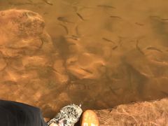 -赤水丹霞旅游区·佛光岩