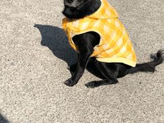 -1点点(河南中路店)