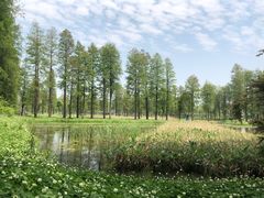 -东湖落雁景区
