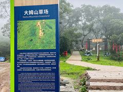 -大姆山草场