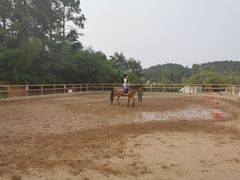 -枫露马术学院(藏书校区)