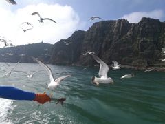 -海驴岛(荣成市)