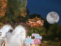 -巴倒烫陆派重庆火锅(南山店)
