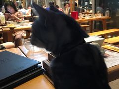 -木屋烧烤(坂田天安云谷店)