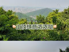 -惠山国家森林公园