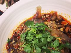 -易老妈蹄花.特色川菜(人民公园总店)