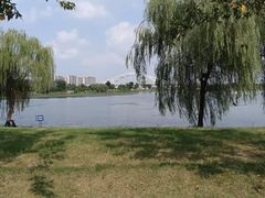 -澹台湖公园