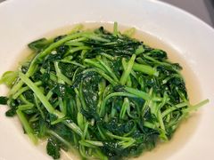 清炒湖南白菜苔-徐记海鲜(汉城湖|太奥店)