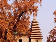 -北京石刻艺术博物馆(五塔寺)