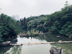 -海底捞火锅(奥体南路店)