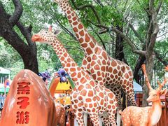 -晓港公园