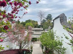 -乌山风景区