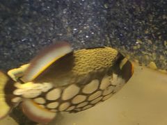 -苏州海洋馆
