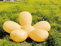 -桤木河湿地公园