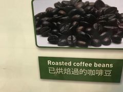 -巴厘岛黄金金兔咖啡工厂