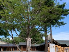 -北海道神宫