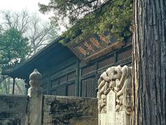 -大觉寺-停车场