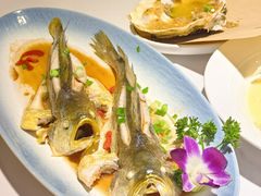 -33号大院·青岛本帮菜(五四广场店)