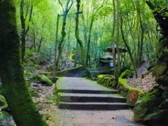 -昆明青龙峡风景区