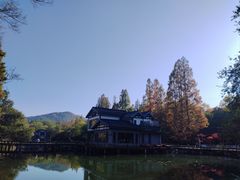 包房-知味观·味庄(杨公堤店)