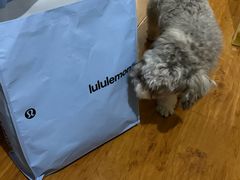 -lululemon(海信广场店)