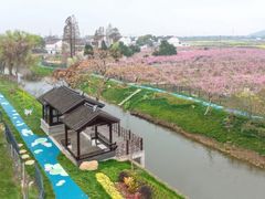 -桃花岛景观公园