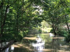 -桤木河湿地公园