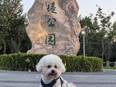 -绿堤公园