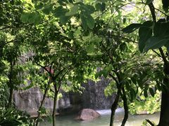 -广州市帽峰山景区