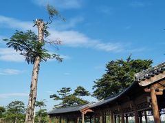 -飞来湖湿地公园