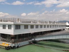 -八婆婆烧仙草(中山路店)