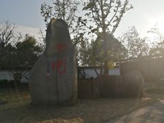 -杭州湾海上花田景区