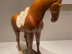 -深圳博物馆(古代艺术馆)