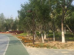 -回龙观体育文化公园