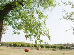 -武汉紫薇都市田园