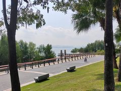 -深圳湾公园(南山区)