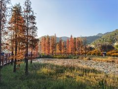 -广州市石门国家森林公园