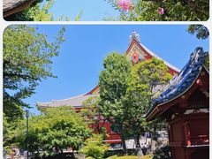 -浅草寺