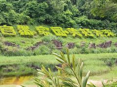 -深圳国际园林花卉博览园