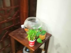 -裕和堂中医推拿艾灸(太古汇臻品店)