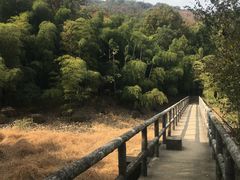 -宝界山林公园